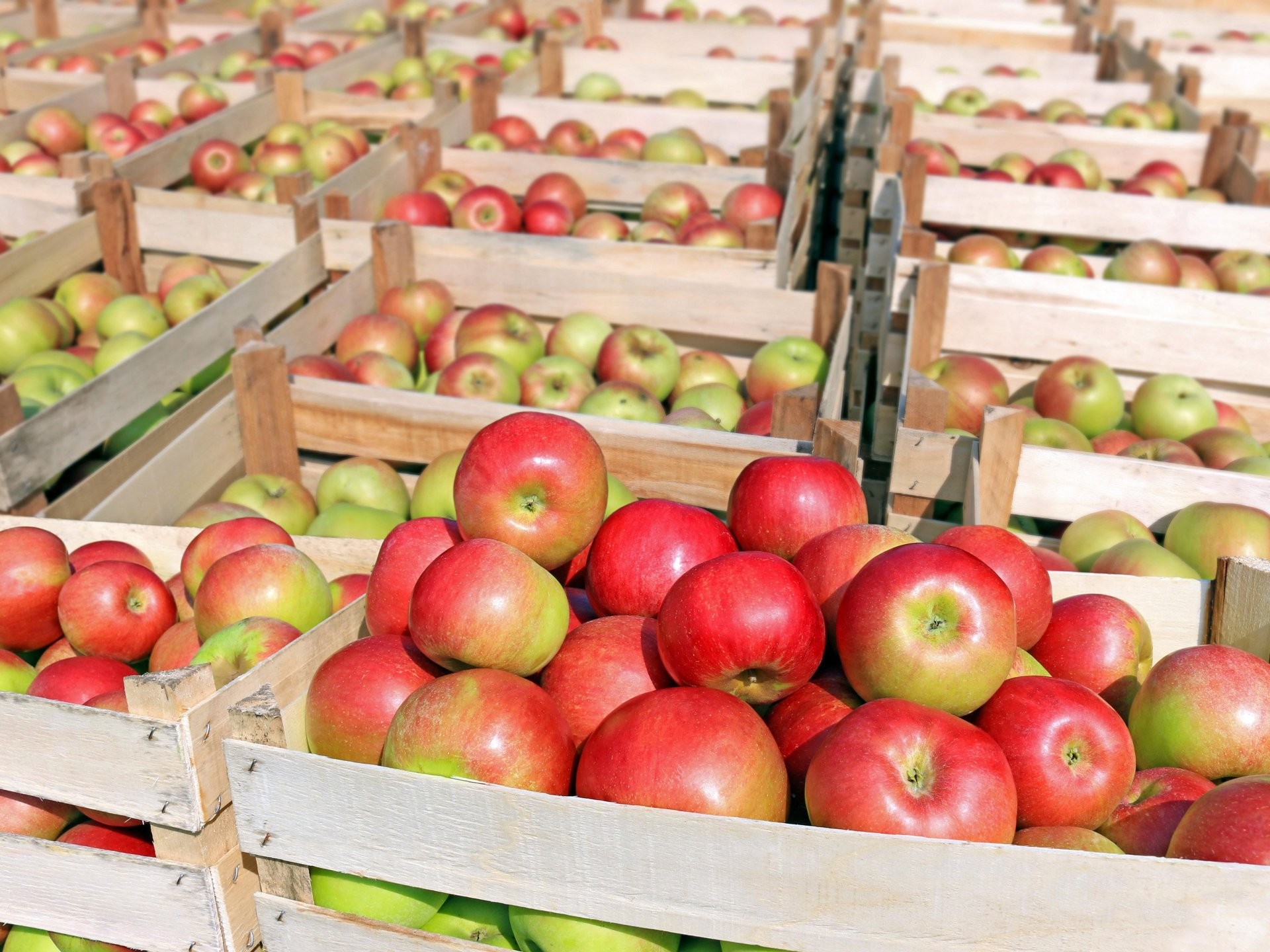 Buy New South Wales based Supermarket - Fruit N Veggies N Grocerries